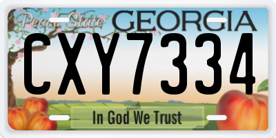 GA license plate CXY7334