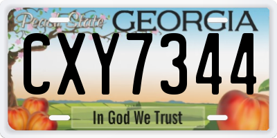 GA license plate CXY7344