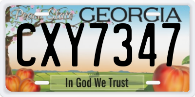 GA license plate CXY7347