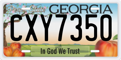 GA license plate CXY7350