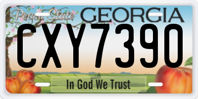 GA license plate CXY7390