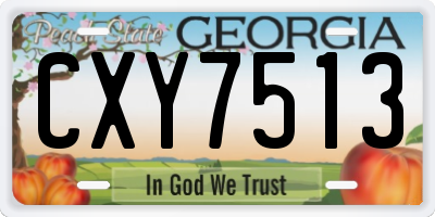 GA license plate CXY7513