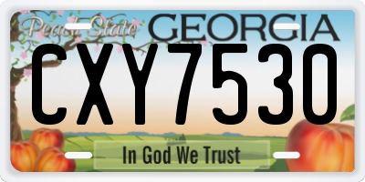 GA license plate CXY7530