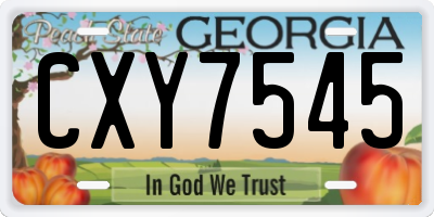 GA license plate CXY7545