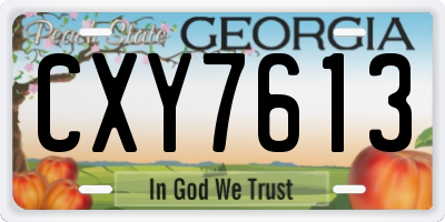 GA license plate CXY7613