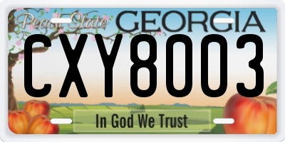 GA license plate CXY8003