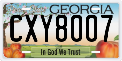GA license plate CXY8007