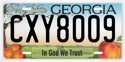 GA license plate CXY8009