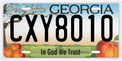 GA license plate CXY8010