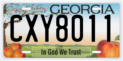 GA license plate CXY8011