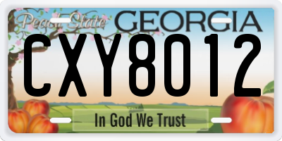 GA license plate CXY8012