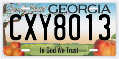 GA license plate CXY8013