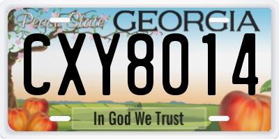 GA license plate CXY8014
