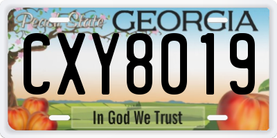 GA license plate CXY8019