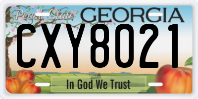 GA license plate CXY8021