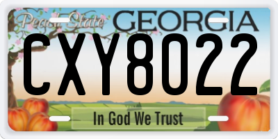 GA license plate CXY8022