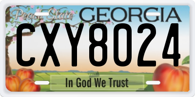 GA license plate CXY8024