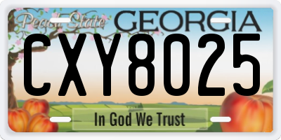 GA license plate CXY8025