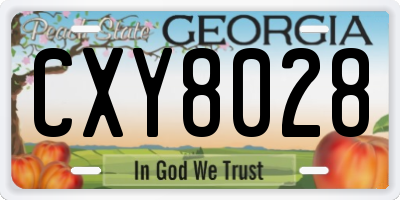 GA license plate CXY8028