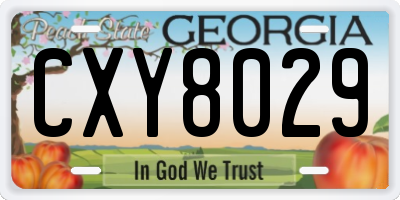 GA license plate CXY8029