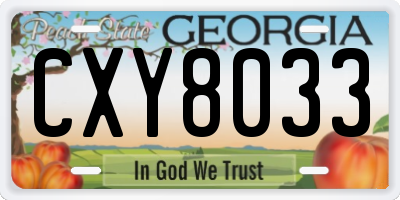 GA license plate CXY8033
