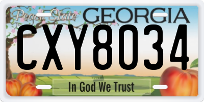 GA license plate CXY8034