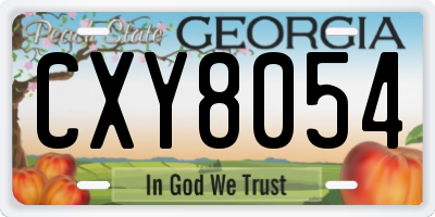GA license plate CXY8054