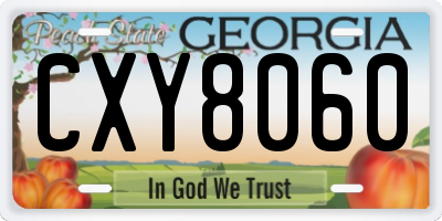 GA license plate CXY8060