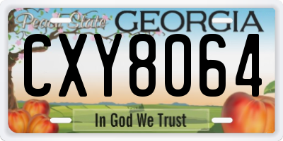 GA license plate CXY8064