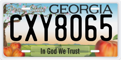GA license plate CXY8065