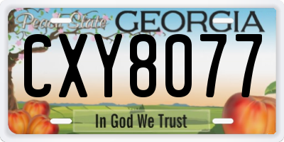 GA license plate CXY8077