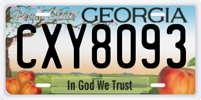 GA license plate CXY8093