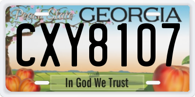 GA license plate CXY8107
