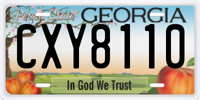 GA license plate CXY8110