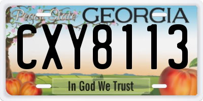 GA license plate CXY8113