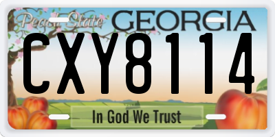 GA license plate CXY8114