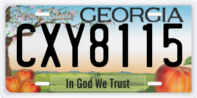 GA license plate CXY8115
