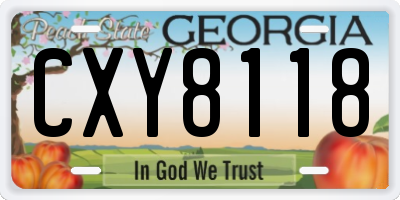 GA license plate CXY8118