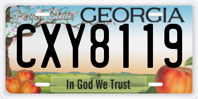GA license plate CXY8119