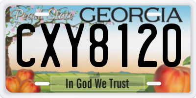 GA license plate CXY8120