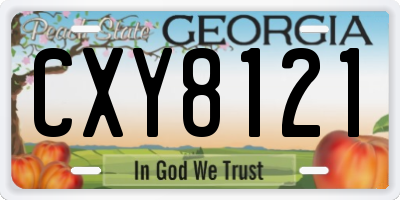 GA license plate CXY8121