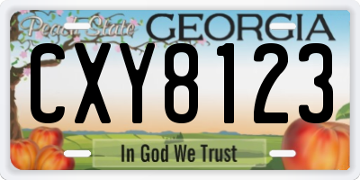 GA license plate CXY8123