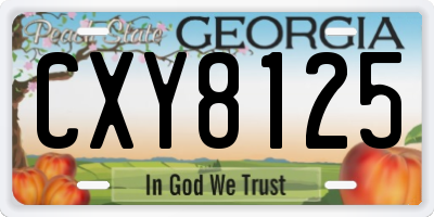 GA license plate CXY8125