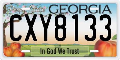 GA license plate CXY8133