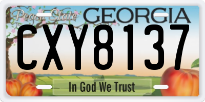 GA license plate CXY8137