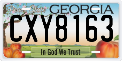 GA license plate CXY8163