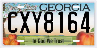 GA license plate CXY8164