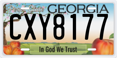 GA license plate CXY8177