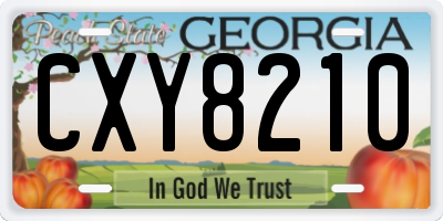 GA license plate CXY8210