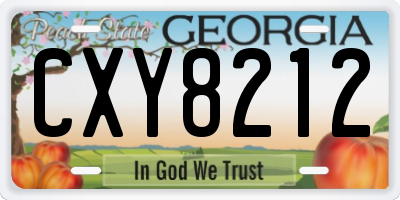 GA license plate CXY8212